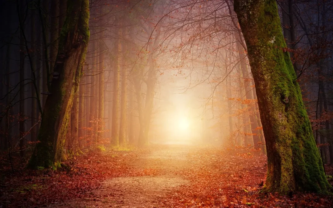 The Guiding Light: The Divine Light of Life