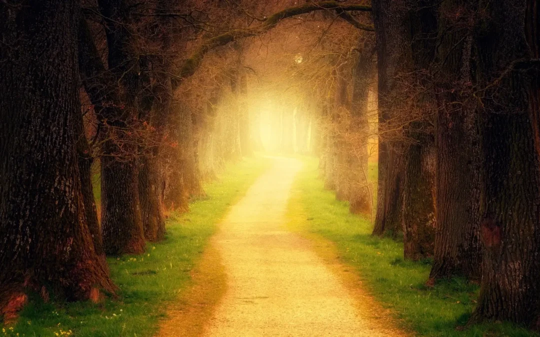 How the divine light of life is used